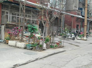 軸承廠物業(yè)公司十五號小區(qū)物業(yè)管理功能缺失