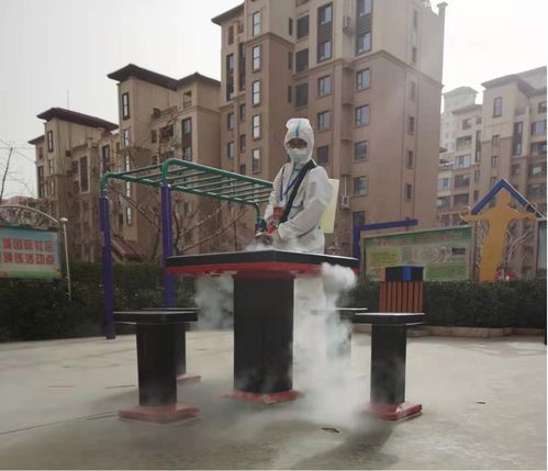 12.8噸蔬菜捐贈(zèng)給石家莊20個(gè)小區(qū)