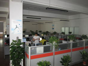 武漢灝信信息技術(shù)服務(wù)圖冊(cè) 引領(lǐng)數(shù)字化轉(zhuǎn)型的專業(yè)力量